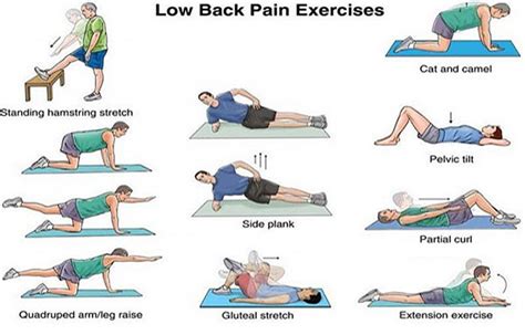 Tips To Prevent Lower Back Pain Kauvery Hospital