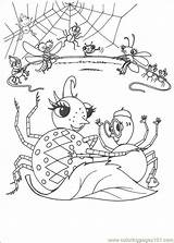 Spider Miss Coloring Online Printable Cartoons Color sketch template