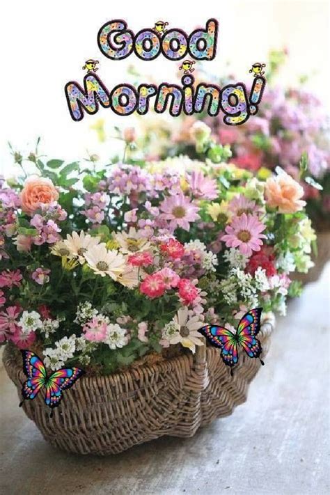 Floral Basket Good Morning Image Good Morning Flowers Good Morning