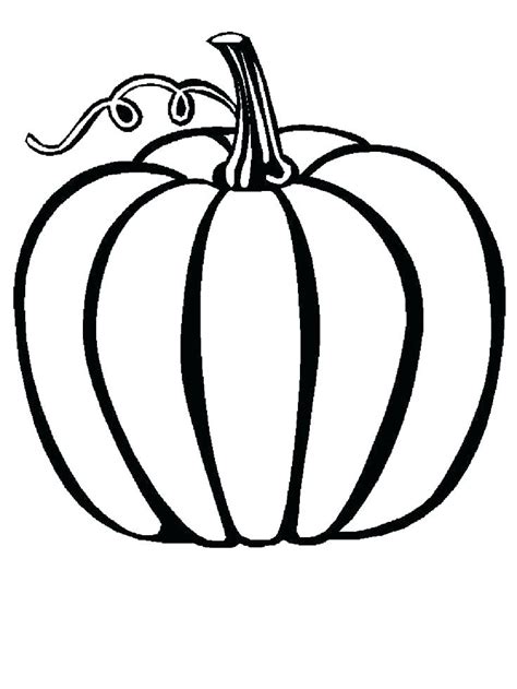 zucchini coloring page  getdrawings