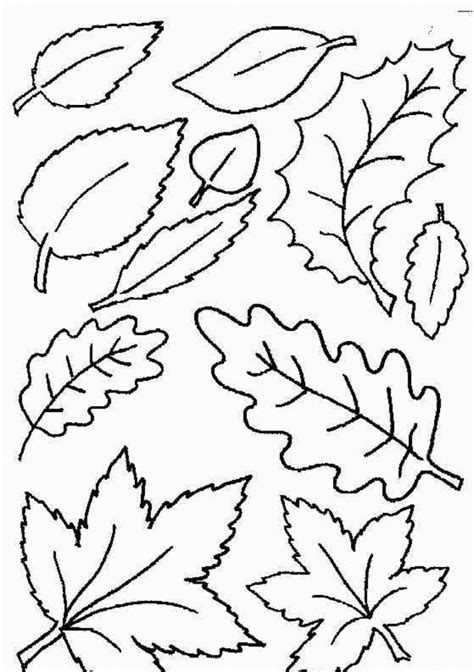 printable autumn leaves coloring home