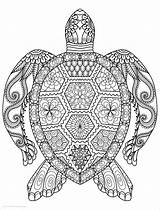 Mandala Animal Coloring Pages Turtle Coloringbay sketch template