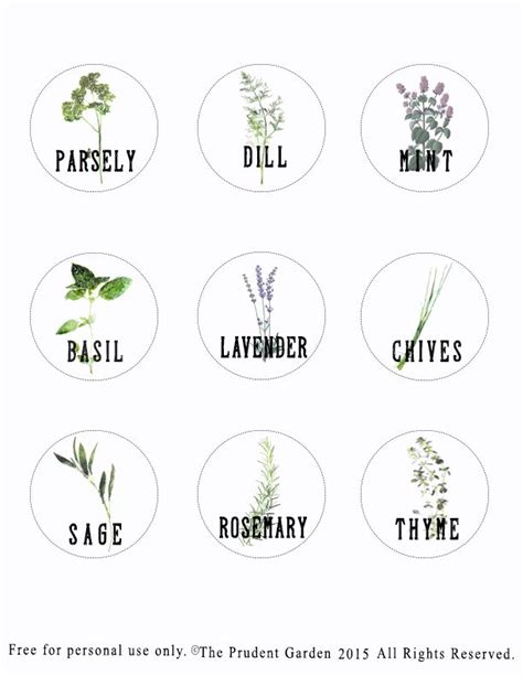 hometalk diy plant labels plant labels diy plants herb labels