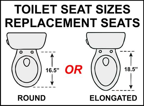 toilet seat sizes  replacement   elongated