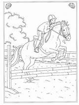 Paarden Manege Paard Mandala Dieren Leukste Altijd Eerst Tekening Printen Volwassenen Tekeningen Kiezen sketch template