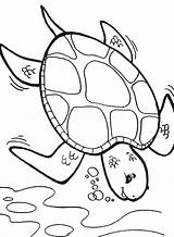 Coloring Sea Turtle Deep Pages Leatherback Getcolorings Creatures sketch template
