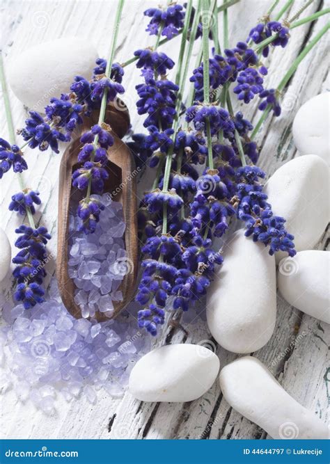 lavender spa setting stock image image  apothecary