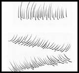 Lashes Eye Draw Drawing Lessons Eyelashes Correct Way Tutorials Visual Guide Drawinghowtodraw sketch template
