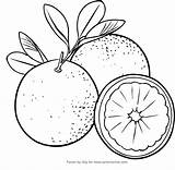Coloring Oranges Pages Drawing Popular sketch template