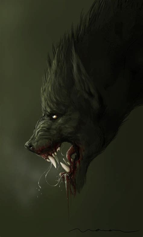 652 Best Cursed Images On Pinterest Werewolf Wolves And