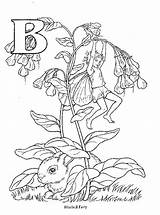 Coloring Pages Fairy Bluebell Colouring Flower Fairies Embroidery Drawing Bluebells Adult Alphabet Color Patterns Books Flowers Drawings Printable Illustration Draw sketch template