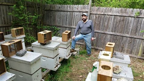 Honey Bee Nuc Hive Beekeeping Part 1 Of A Year Long Series