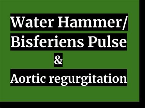 water hammer bisferiens pulse aortic regurgitation youtube