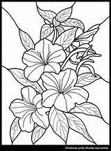 Outline Glass Painting Flowers Coloring Scenery Pages Drawing Para Designs Flower Outlines Kids Colorear Dibujos Flores Vitral Printable Colouring Color sketch template