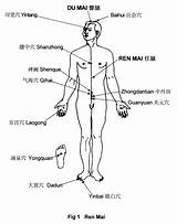 Qi Gong Qigong Chi Acupuncture Points Tai Ren Mai Human Meridians Vessel Conception Body Medicine Du Martial Arts Kung Eastern sketch template