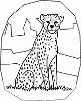 Coloring Cheetah Pages Print Printable Kids Color Animal Book Fun Word Search Bestcoloringpagesforkids Stuff Popular Results Comments sketch template