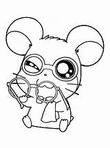Hamtaro Coloring Pages Picgifs Color sketch template