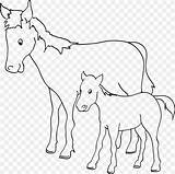 Mule Foal sketch template