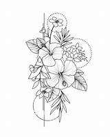 Blumen Skizzen Hibiscus Orchideen sketch template