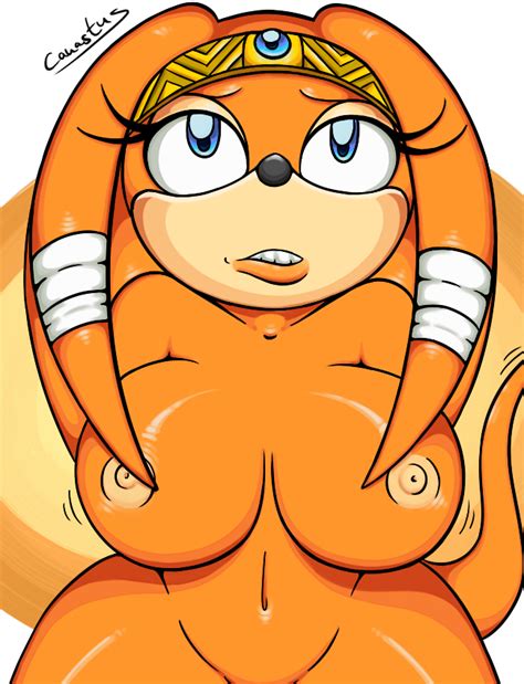 Rule 34 Anthro Blue Eyes Breasts Canastus Color Echidna Exposed