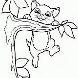 Pobarvanke Gato Kitten Stampare Gatti Climbing Kleurplaten Kleurplaat Muce Procoloring Volwassenen Jo Glance Pusheen Coloringhome sketch template