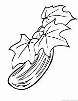 Cucumber Coloring Pages Drawing Getdrawings Vegetable Template sketch template