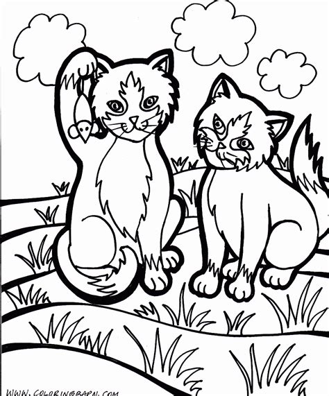 cat coloring pages kitten  printable coloring pages
