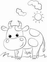 Koeien Topkleurplaat Dieren Koe sketch template