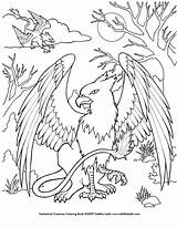 Coloring Griffin Mythical Mystical Ausdrucken Gemerkt sketch template