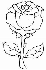Coloring Rose Pages Flower Para Flores Colorear Dibujos Drawing Flowers Roses Pintar Drawings Printable Simple Glass Painting Rosas Designs Stems sketch template