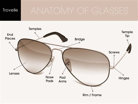 sunglasses  eyeglasses anatomy trovelle