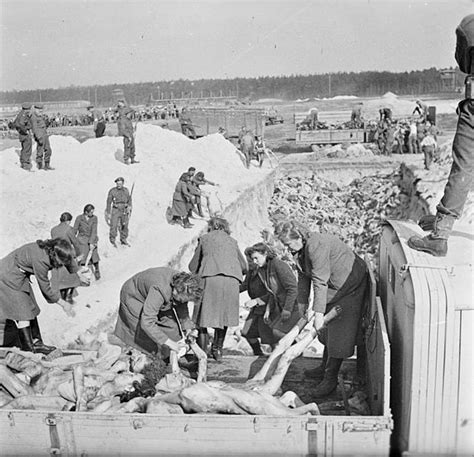 file the liberation of bergen belsen concentration camp