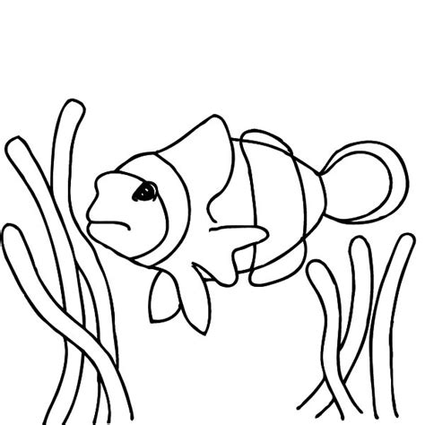 finding nemo clown fish coloring pages finding nemo clown fish