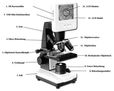 celestron ldm digitales lcd mikroskop  cm  zoll lcd