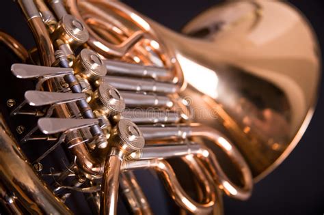 french horn stock photo image  brass  equipment