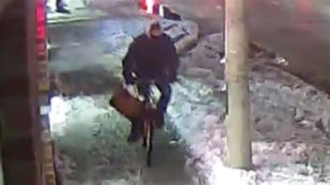 Serial Purse Snatcher Sought By Peel Police Chch