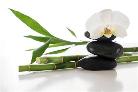 white orchid  spa stones  bamboo stockfreedom premium stock