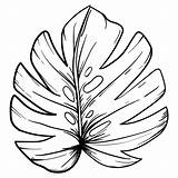Leaf Printable Coloring Pages Leaves Pattern Simple Template Cut Printablee Maple Oak Via sketch template