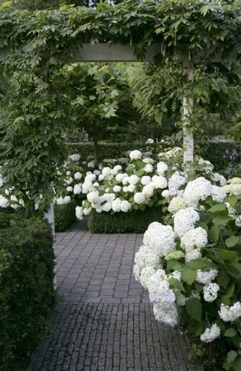 beautiful modern front yard landscaping ideas  white gardens outdoor gardens garden