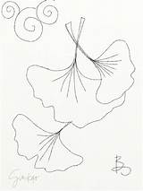 Ginkgo Draw Drawing Pencil Drawings sketch template