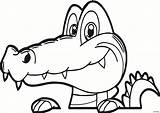 Alligator Crocodile Coloring Cartoon Pages Face Drawing Head Baby Cute Color Gators Florida Caiman Printable Gator Colouring Book Sheet Draw sketch template