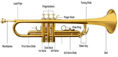 frequently asked questions   trumpet musical instrument hire