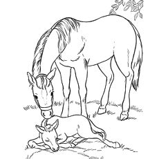 top   printable horse coloring pages