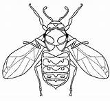 Coloring Wasp Pages Colorear Wasps Coloringcrew Nests Template sketch template