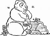 Urs Colorat Coloring Bear Planse Desene Corduroy sketch template