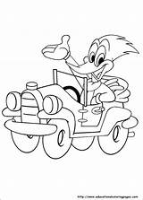 Woody Woodpecker Coloring Pages sketch template
