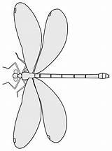Svg Dragonfly 97kb 2000 sketch template