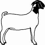 Goat Silhouette Clip Boer Clipart Dairy Outline Show Head Cliparts Goats Vector Drawing Line Nubian Cut Window Stickers Horse Decal sketch template
