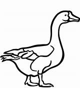 Goose Coloring Pages Geese Walking Printable Popular Supercoloring Categories sketch template