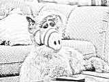 Alf sketch template